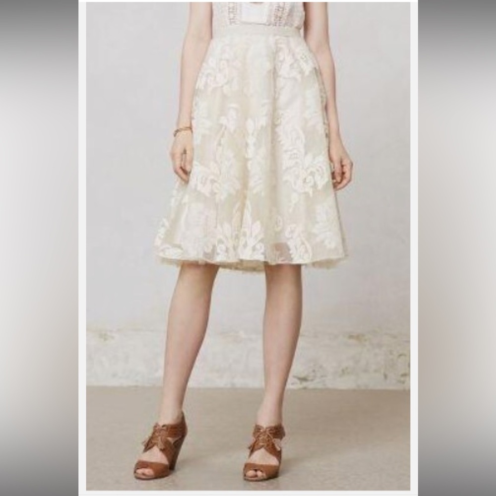 Baraschi Ethereal Romanric Fairy Embroidered Ivory A-Line Tulle Skirt Sz 6